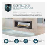 Majestic Echelon II 48-Inch See-Through Direct Vent Fireplace [ECHEL48STIN-C]