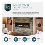 Majestic Echelon II 48-Inch See-Through Direct Vent Fireplace [ECHEL48STIN-C]