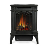 Napoleon Arlington 20 19-Inch Cast Iron Millivolt Ignition Natural Gas Stove [GDS20NSB]
