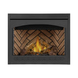 Napoleon Ascent 42 Direct Vent Millivolt Ignition Propane Gas Fireplace [B42N/PTR]