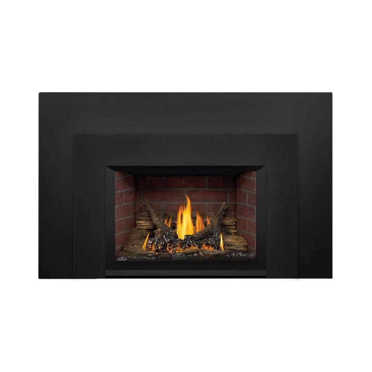 Napoleon Oakville 3 28-Inch Direct Vent Natural Gas Fireplace Insert [GDI3N-1] (SAK25498)
