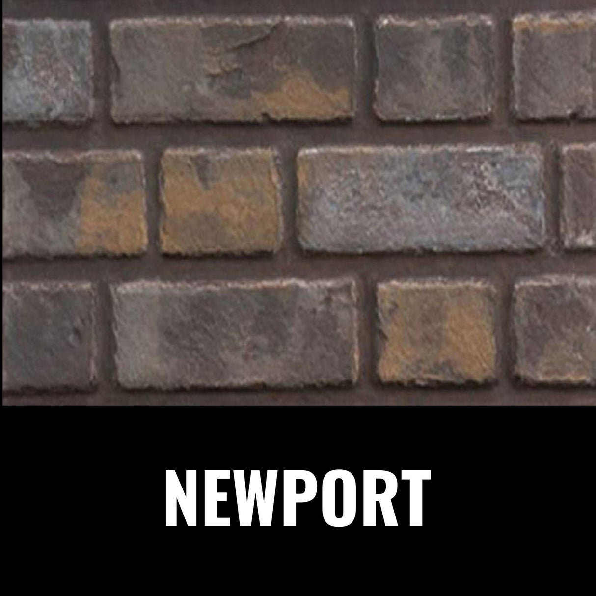 Napoleon Oakville 3 Direct Vent Electronic Ignition Natural Gas Fireplace Insert [GDI3NEA] (SAK82316)