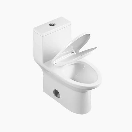 Latest HOROW HWMT138 Floor Mounted One-Piece Toilet with Elongated Bowl