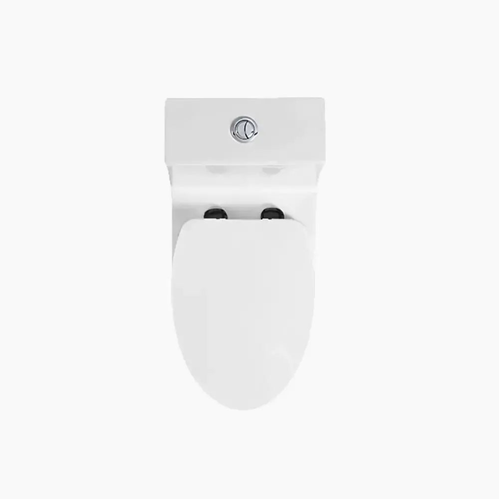 Latest HOROW HWMT138 Floor Mounted One-Piece Toilet with Elongated Bowl