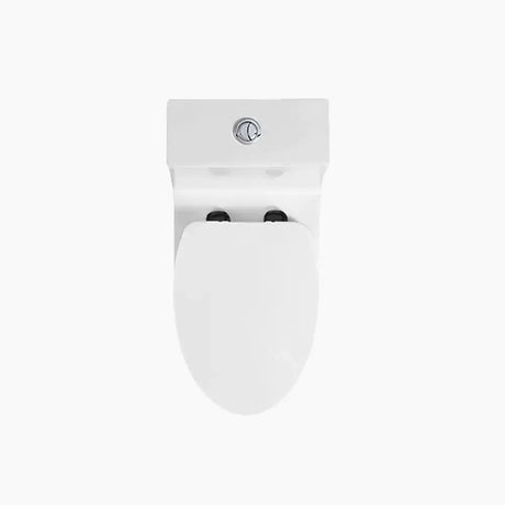 Latest HOROW HWMT138 Floor Mounted One-Piece Toilet with Elongated Bowl