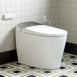 Factory HOROW T03-10 10 Inch Rough In Bidet Toilet with Tank & Pump