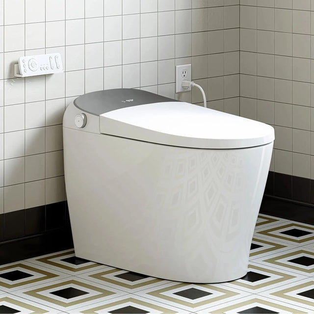Factory HOROW T03-10 10 Inch Rough In Bidet Toilet with Tank & Pump
