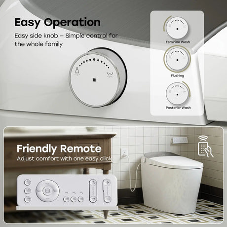 Factory HOROW T03-10 10 Inch Rough In Bidet Toilet with Tank & Pump