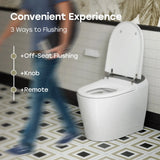 Factory HOROW T03-10 10 Inch Rough In Bidet Toilet with Tank & Pump