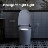Factory HOROW T03-10 10 Inch Rough In Bidet Toilet with Tank & Pump