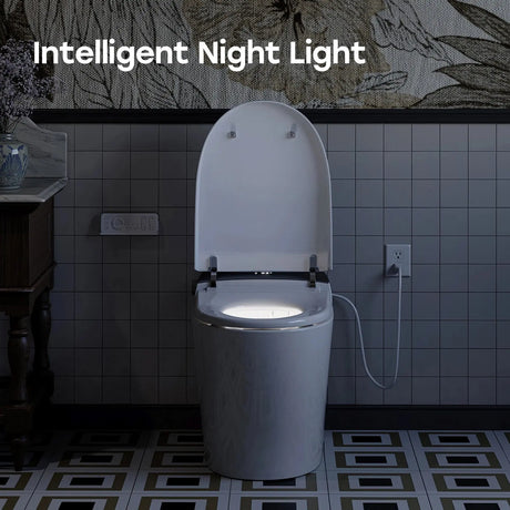 Factory HOROW T03-10 10 Inch Rough In Bidet Toilet with Tank & Pump