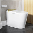 Best Quality HOROW T03 Smart Toilet with Golden Button for 12 Inch Rough In