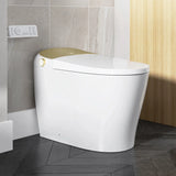 Best Quality HOROW T03 Smart Toilet with Golden Button for 12 Inch Rough In