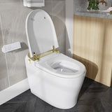 Best Quality HOROW T03 Smart Toilet with Golden Button for 12 Inch Rough In