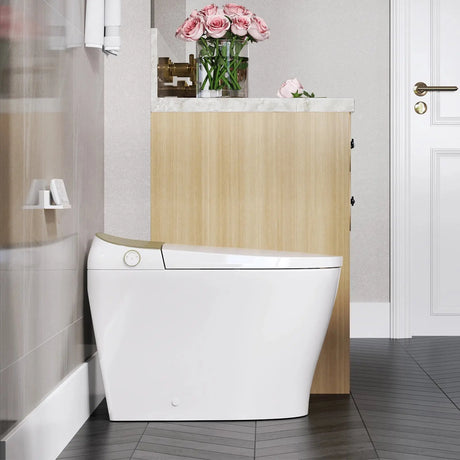 Best Quality HOROW T03 Smart Toilet with Golden Button for 12 Inch Rough In