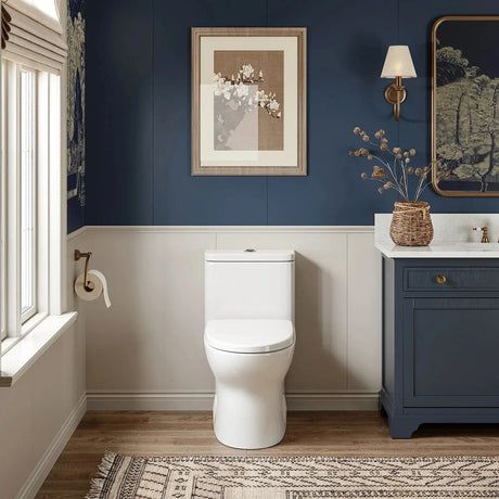 HOROW T0356W One-Piece Dual Flush Toilet with Rimless Bowl