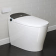 Wholesale HOROW T03B Black Smart Toilet with Single Flush
