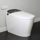 Wholesale HOROW T03B Black Smart Toilet with Single Flush