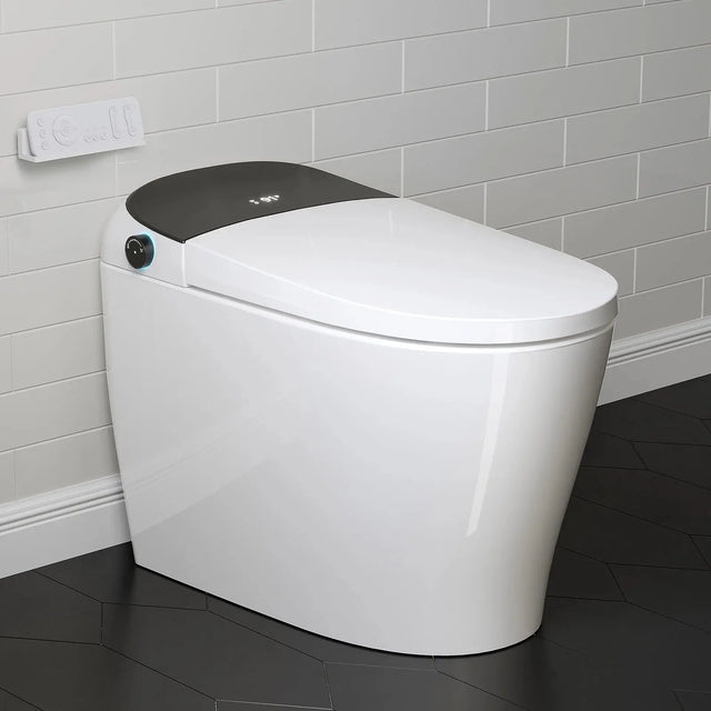 Wholesale HOROW T03B Black Smart Toilet with Single Flush