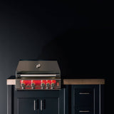 TrueFlame Luxury Built-In Gas Stainless Steel Grills [TF25/32/40]