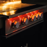 TrueFlame Luxury Built-In Gas Stainless Steel Grills [TF25/32/40]