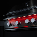 TrueFlame Luxury Built-In Gas Stainless Steel Grills [TF25/32/40]